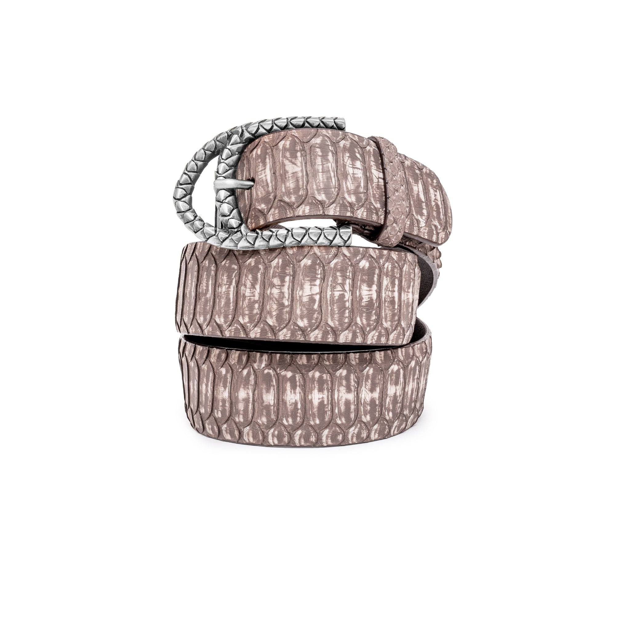 GOLDEN SNAKE BLACK BELT 3CM