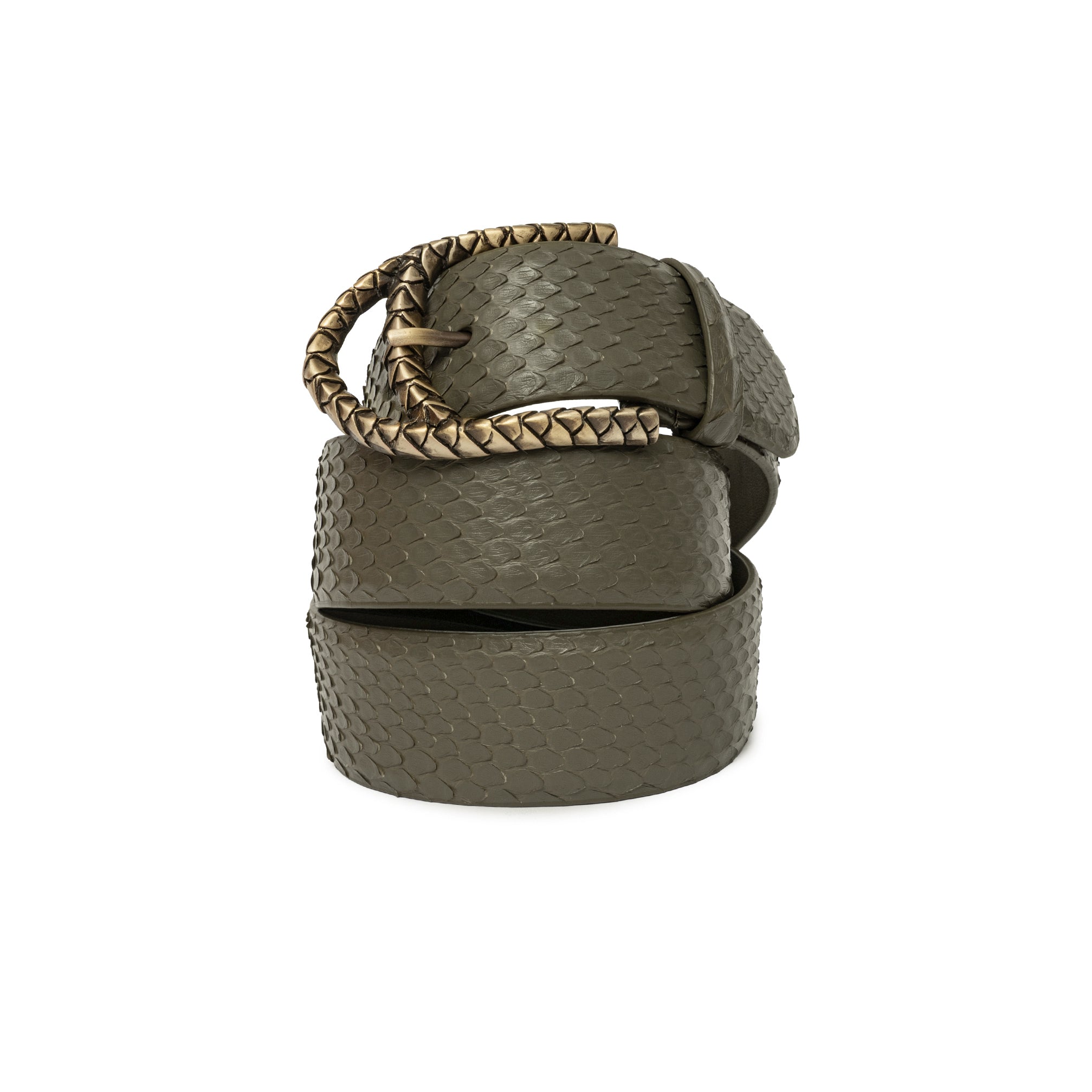CINTURÓN KAKI BÁSICA DORADA 4CM