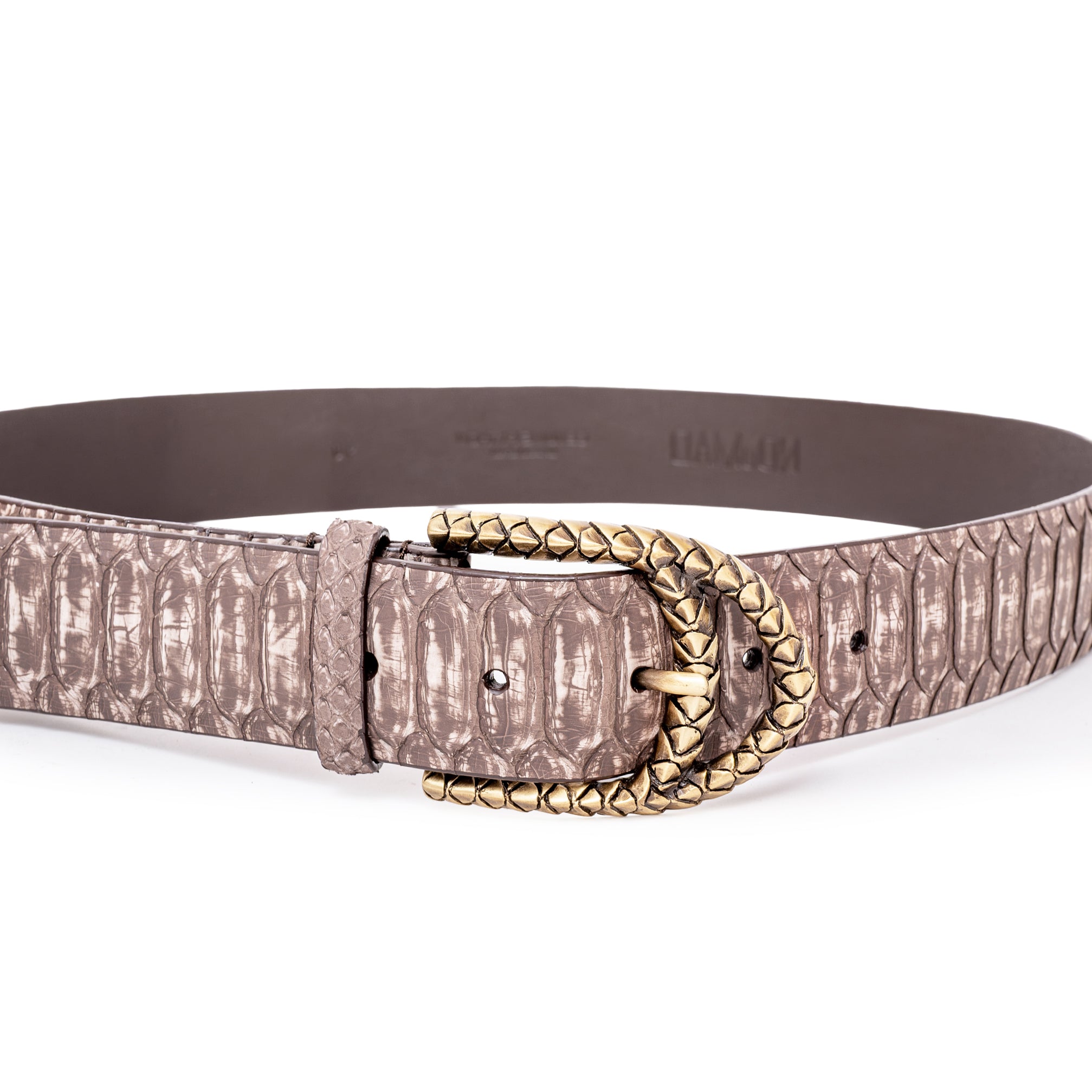 GOLDEN SNAKE BLACK BELT 3CM